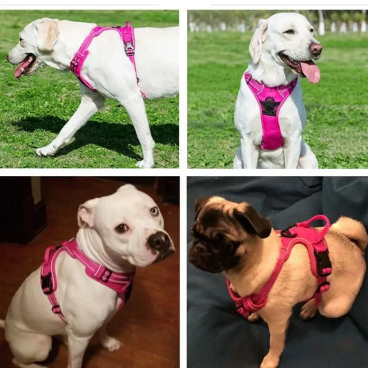 RefletSafe™ — Peitoral Reflexivo Cães