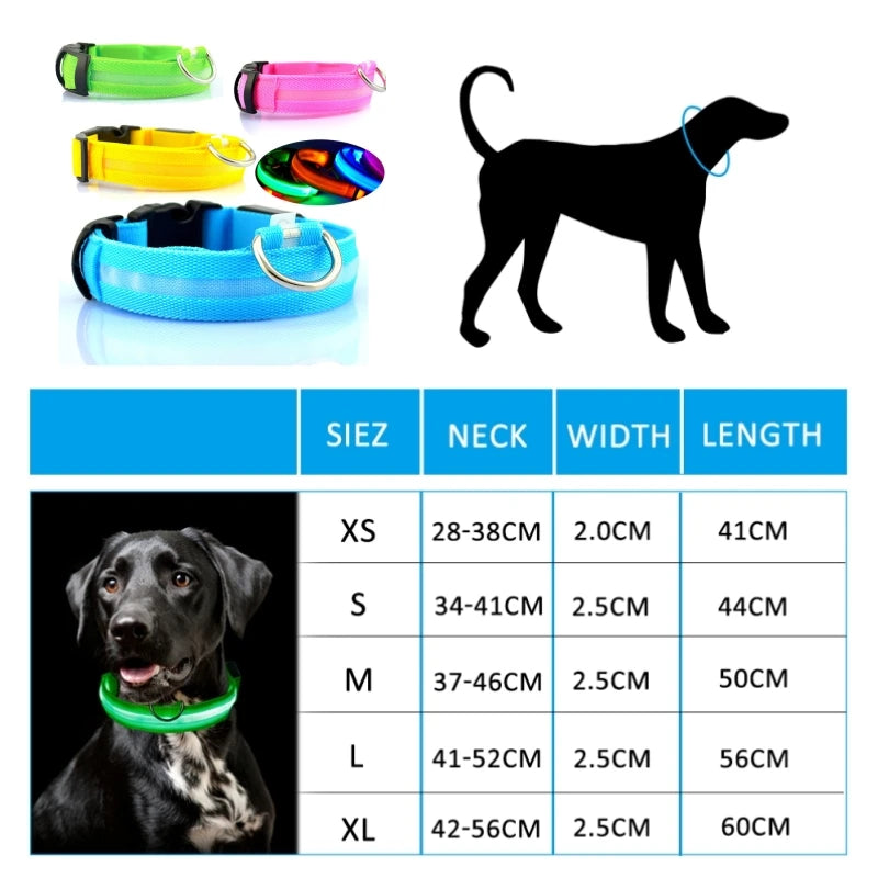 LumiPasseio™ — Coleira LED Ajustável para Cães