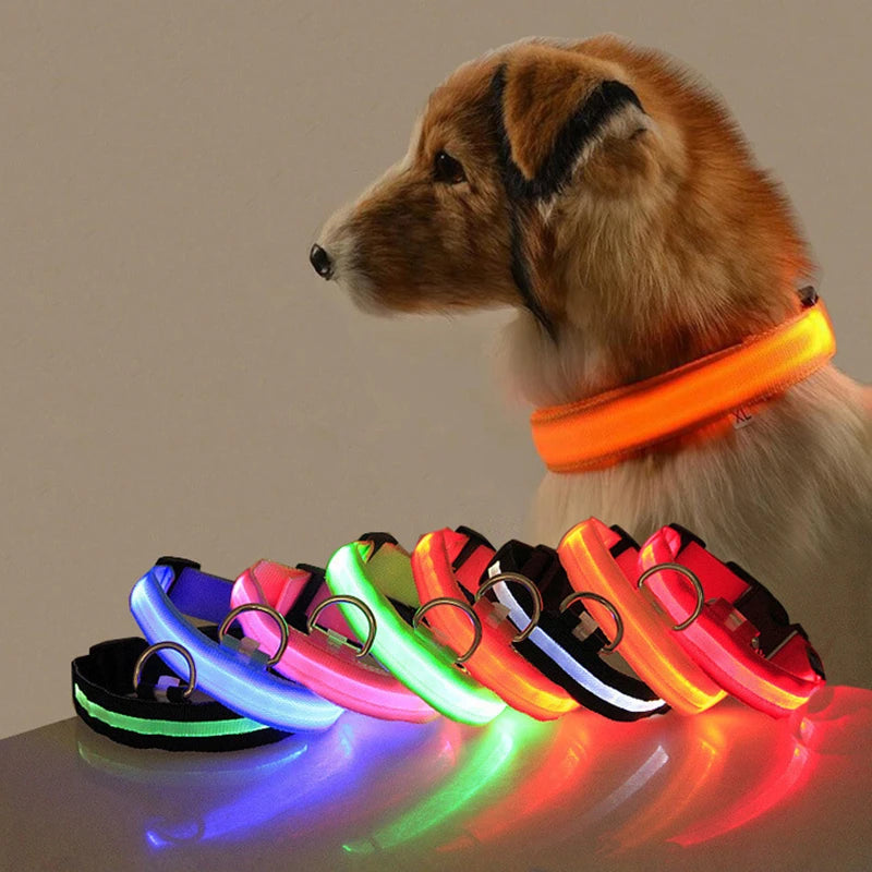 LumiPasseio™ — Coleira LED Ajustável para Cães